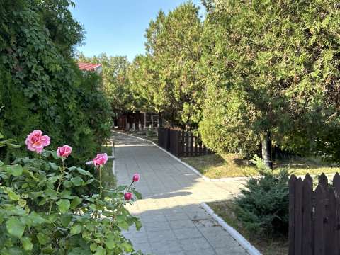 База отдыха «Динамо»