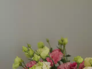 Отель «Марина», г. Анапа